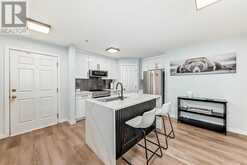 207, 290 Shawville Way SE Calgary