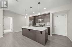 236, 20 Seton Park SE Calgary