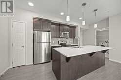 236, 20 Seton Park SE Calgary