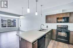 201, 70 Saddlestone Drive NE Calgary