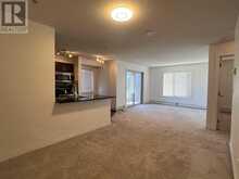 201, 15 Saddlestone Way NE Calgary