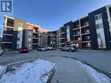 201, 15 Saddlestone Way NE Calgary