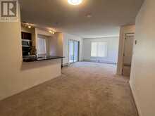 201, 15 Saddlestone Way NE Calgary