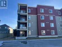 201, 15 Saddlestone Way NE Calgary