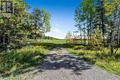 336 Street W Rural Foothills