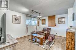 72 Douglas Shore Close SE Calgary