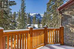 3, 124 Silvertip Ridge Canmore