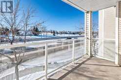 209, 270 Shawville Way SE Calgary