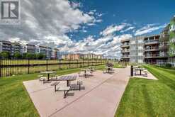 316, 20 Seton Park SE Calgary