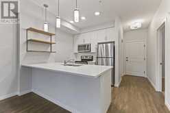 203, 20 Mahogany Mews SE Calgary