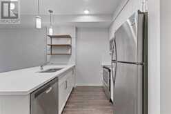 203, 20 Mahogany Mews SE Calgary