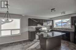 39 Luxstone Point SW Airdrie