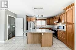 228 Rundlehorn Crescent NE Calgary