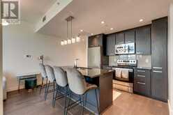 1704, 225 11 Avenue SE Calgary