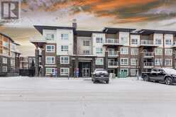 1205, 240 Skyview Ranch Road NE Calgary