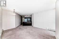 1102, 325 3 Street SE Calgary