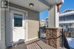 167, 300 Marina Drive Chestermere