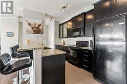 515, 3410 20 Street SW Calgary