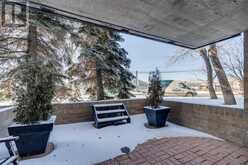 101, 9800 Horton Road SW Calgary