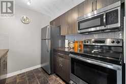 2205, 1317 27 Street SE Calgary