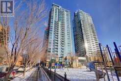 303, 215 13 Avenue SW Calgary