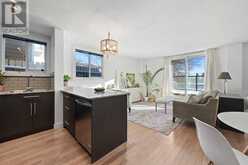 101, 2209 14 Street SW Calgary