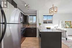 101, 2209 14 Street SW Calgary