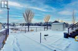 17 Saddlelake Lane NE Calgary