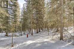 231057 Range Rd 54 Bragg Creek