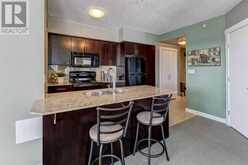 520, 8710 Horton Road SW Calgary