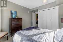 520, 8710 Horton Road SW Calgary