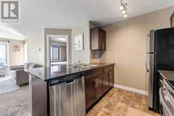 417, 15 Saddlestone Way NE Calgary