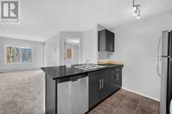 204, 5 Saddlestone Way NE Calgary