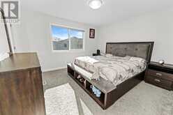 244 SAVANNA Way NE Calgary