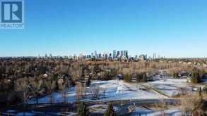 424 Brunswick Avenue SW Calgary