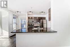 1101, 1317 27 Street SE Calgary