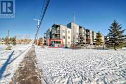 1101, 1317 27 Street SE Calgary