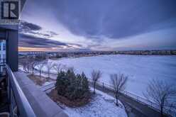 301, 17 Mahogany Circle SE Calgary