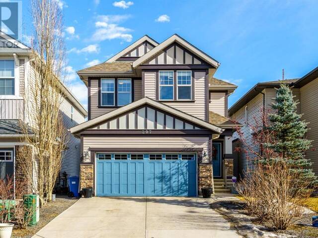 207 Chaparral Valley Way SE Calgary