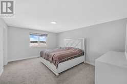 173 Savanna Passage NE Calgary