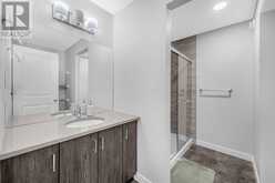 173 Savanna Passage NE Calgary