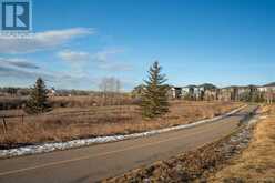 230, 20 Silverado Crest Park SW Calgary