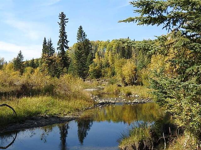 108 Acres bordering Kananaskis Rural Foothills Alberta