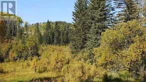 108 Acres bordering Kananaskis Rural Foothills