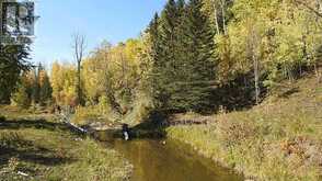 108 Acres bordering Kananaskis Rural Foothills