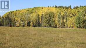 108 Acres bordering Kananaskis Rural Foothills