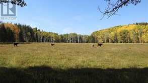 108 Acres bordering Kananaskis Rural Foothills