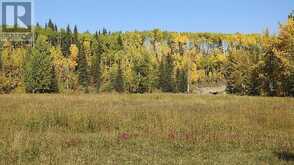 108 Acres bordering Kananaskis Rural Foothills