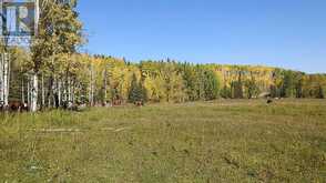 108 Acres bordering Kananaskis Rural Foothills