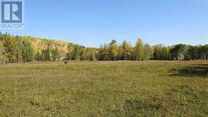 108 Acres bordering Kananaskis Rural Foothills